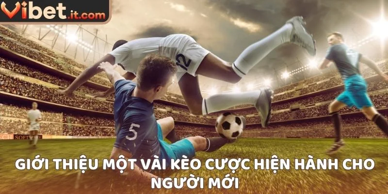 Giới thiệu một vài kèo cược hiện hành cho người mới