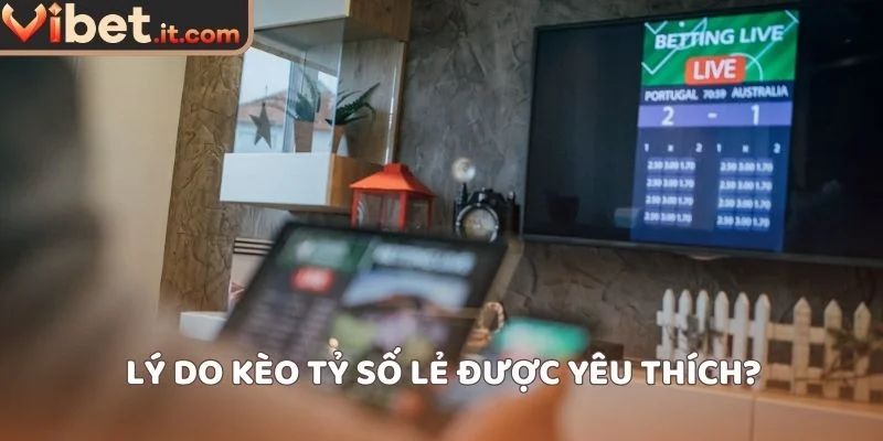 Hé lộ kinh nghiệm soi kèo cực đỉnh