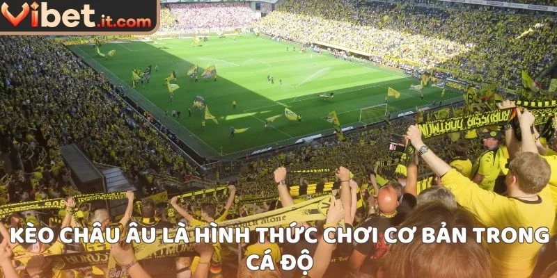 Kèo Châu Âu là hình thức chơi cơ bản trong cá độ