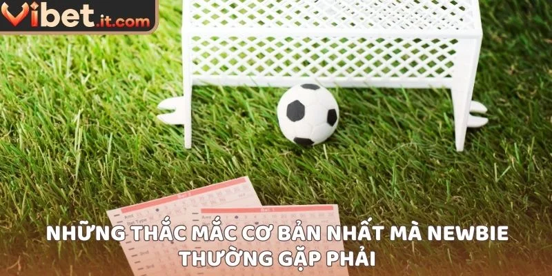 Những thắc mắc cơ bản nhất mà newbie thường gặp phải