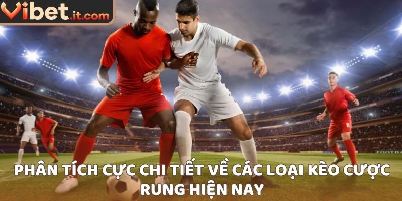Phân tích cực chi tiết về các loại kèo cược rung hiện nay