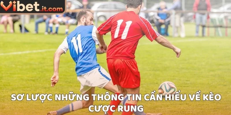 Sơ lược những thông tin cần hiểu về kèo cược rung
